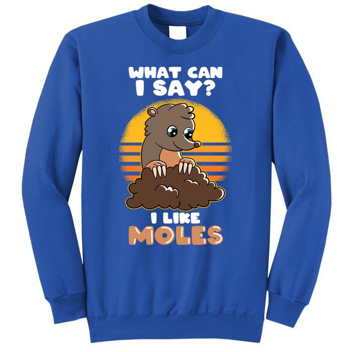 Mole Day Funny Mole Cute Mole I Like Moles Gift Sweatshirt