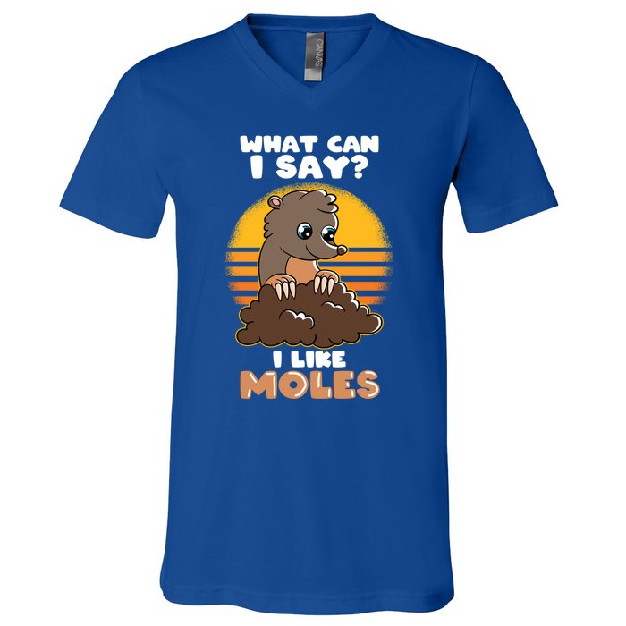 Mole Day Funny Mole Cute Mole I Like Moles Gift V-Neck T-Shirt