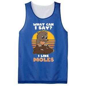 Mole Day Funny Mole Cute Mole I Like Moles Gift Mesh Reversible Basketball Jersey Tank