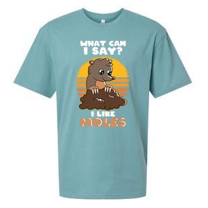 Mole Day Funny Mole Cute Mole I Like Moles Gift Sueded Cloud Jersey T-Shirt