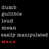 Maga Dumb Gullible Loud Mean Easily Manipulated Sustainable Beanie