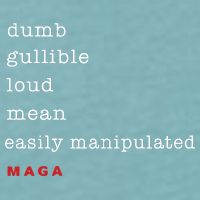 Maga Dumb Gullible Loud Mean Easily Manipulated Sueded Cloud Jersey T-Shirt