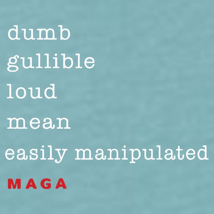 Maga Dumb Gullible Loud Mean Easily Manipulated Sueded Cloud Jersey T-Shirt