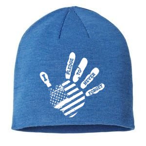 Memorial Day Gift I Pledge To Never Forget Gift Sustainable Beanie