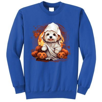 Maltese Dog Ghost Funny Halloween Pumpkin For Dog Lovers Funny Gift Tall Sweatshirt