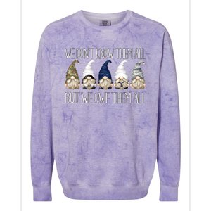 Memorial Day Gnome We Dont Know Them All But We Owe Them All Gift Colorblast Crewneck Sweatshirt