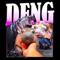Moo Deng Hippo Baby Pygmy Funny 7-Panel Snapback Hat