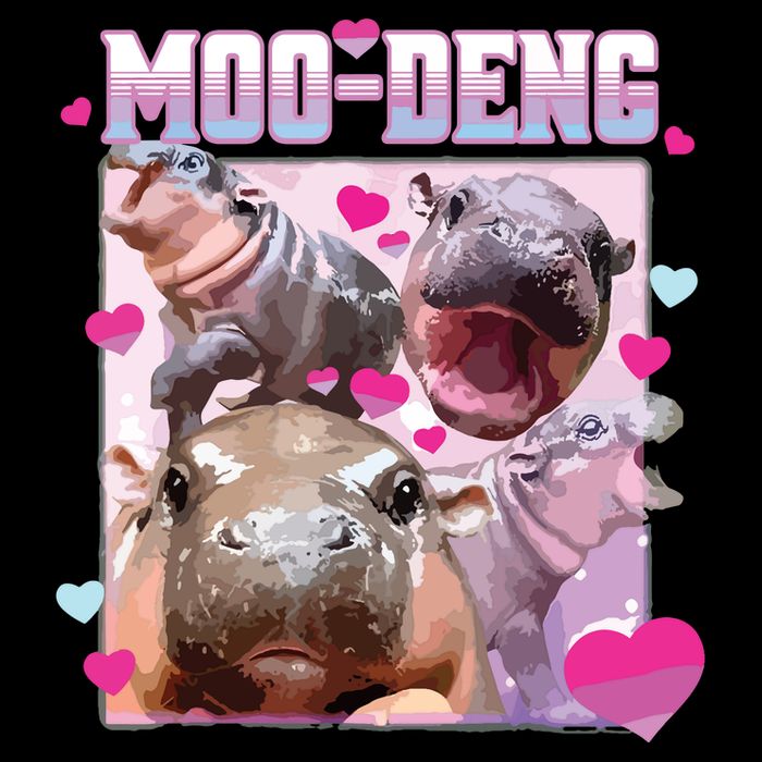 Moo Deng Hippo Baby Pygmy Funny Kids T-Shirt
