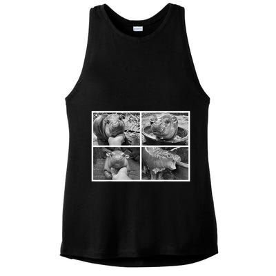 Moo Deng Hippo Photo Funny Pygmy Hippopotamus Ladies PosiCharge Tri-Blend Wicking Tank