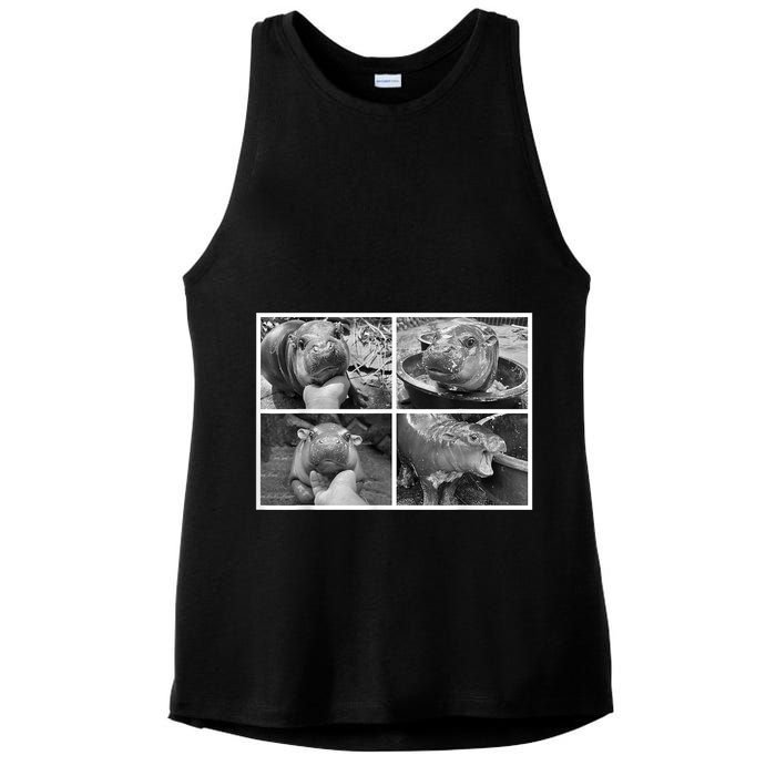 Moo Deng Hippo Photo Funny Pygmy Hippopotamus Ladies PosiCharge Tri-Blend Wicking Tank