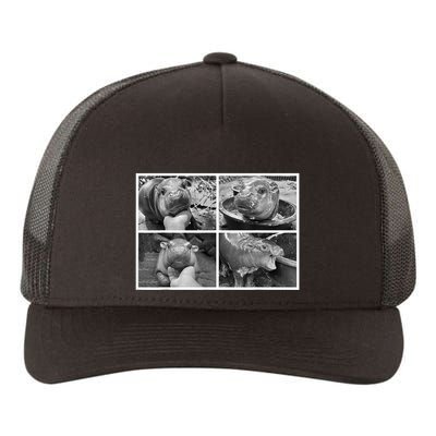 Moo Deng Hippo Photo Funny Pygmy Hippopotamus Yupoong Adult 5-Panel Trucker Hat