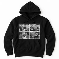 Moo Deng Hippo Photo Funny Pygmy Hippopotamus Hoodie