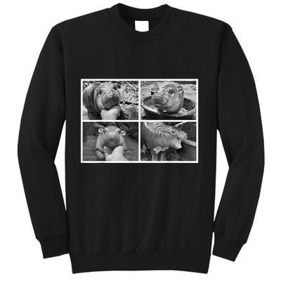 Moo Deng Hippo Photo Funny Pygmy Hippopotamus Sweatshirt