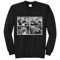 Moo Deng Hippo Photo Funny Pygmy Hippopotamus Sweatshirt