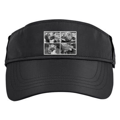 Moo Deng Hippo Photo Funny Pygmy Hippopotamus Adult Drive Performance Visor