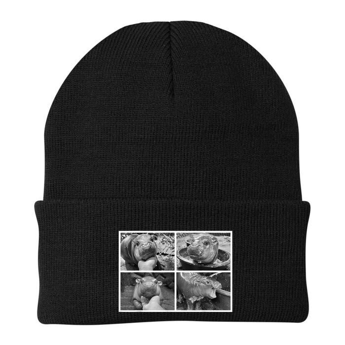 Moo Deng Hippo Photo Funny Pygmy Hippopotamus Beanie