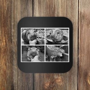 Moo Deng Hippo Photo Funny Pygmy Hippopotamus Coaster