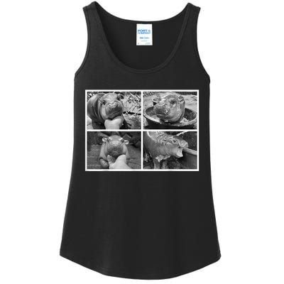 Moo Deng Hippo Photo Funny Pygmy Hippopotamus Ladies Essential Tank