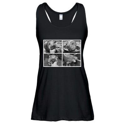 Moo Deng Hippo Photo Funny Pygmy Hippopotamus Ladies Essential Flowy Tank