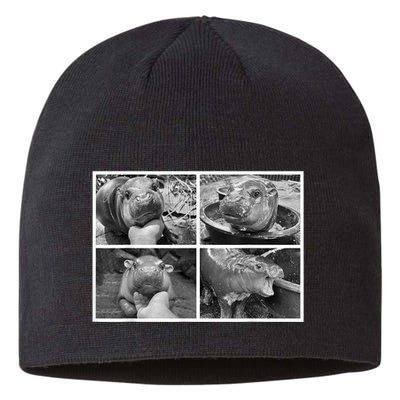 Moo Deng Hippo Photo Funny Pygmy Hippopotamus Sustainable Beanie