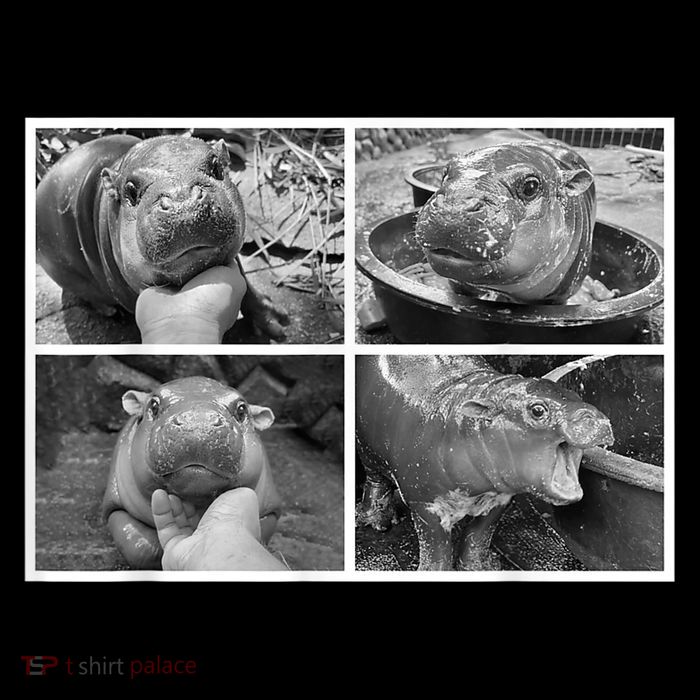 Moo Deng Hippo Photo Funny Pygmy Hippopotamus Sustainable Beanie
