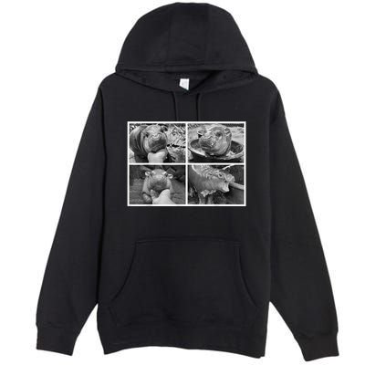 Moo Deng Hippo Photo Funny Pygmy Hippopotamus Premium Pullover Hoodie