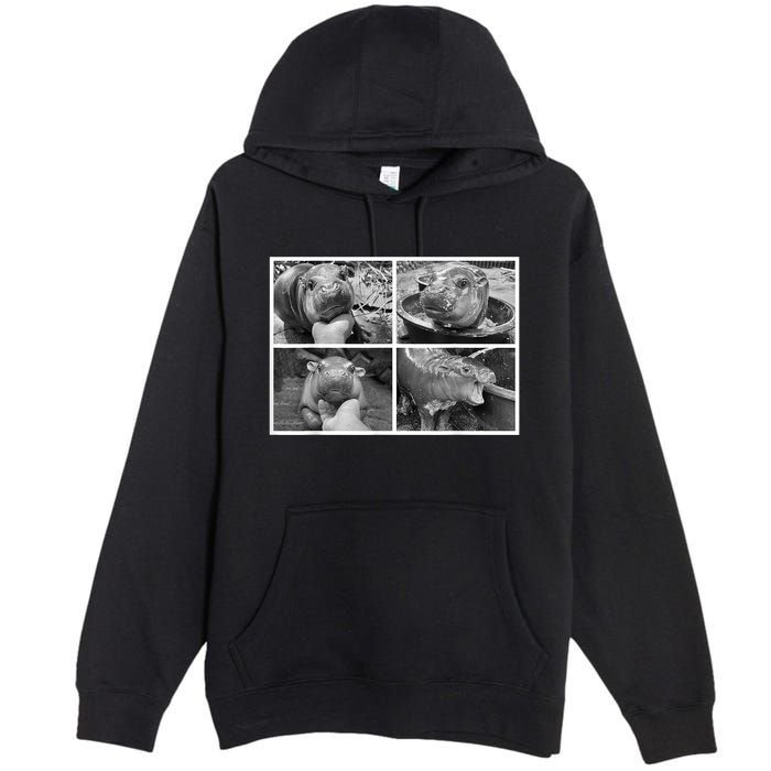 Moo Deng Hippo Photo Funny Pygmy Hippopotamus Premium Pullover Hoodie