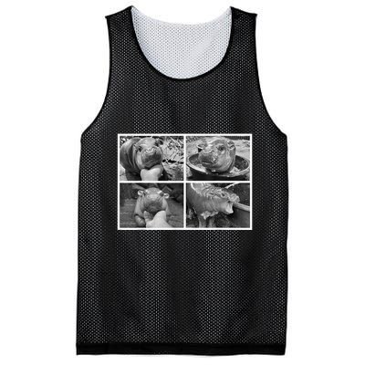 Moo Deng Hippo Photo Funny Pygmy Hippopotamus Mesh Reversible Basketball Jersey Tank
