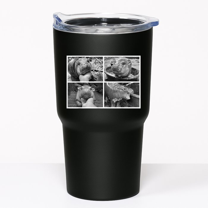 Moo Deng Hippo Photo Funny Pygmy Hippopotamus Tumbler