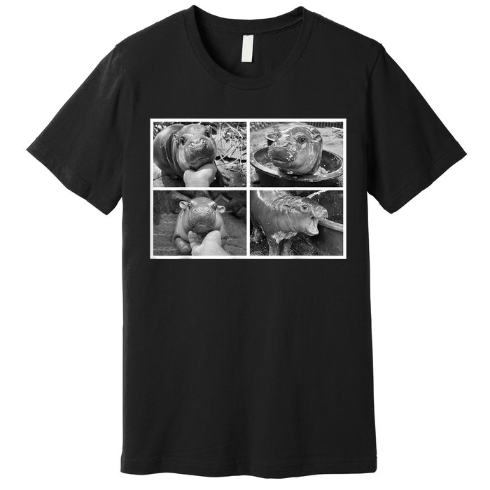 Moo Deng Hippo Photo Funny Pygmy Hippopotamus Premium T-Shirt