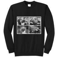 Moo Deng Hippo Photo Funny Pygmy Hippopotamus Tall Sweatshirt