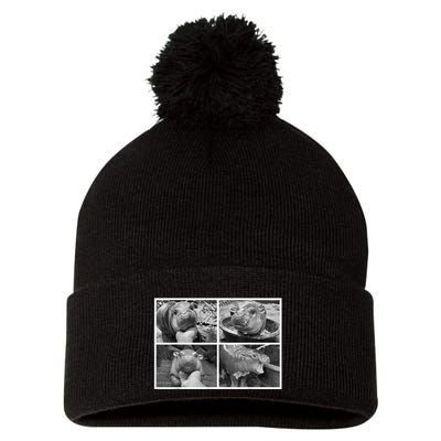 Moo Deng Hippo Photo Funny Pygmy Hippopotamus Pom Pom 12in Knit Beanie