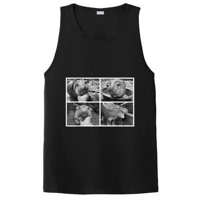 Moo Deng Hippo Photo Funny Pygmy Hippopotamus PosiCharge Competitor Tank