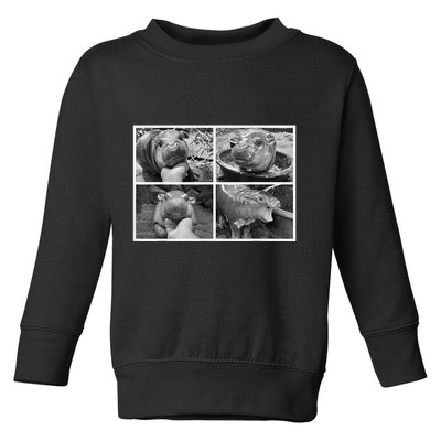 Moo Deng Hippo Photo Funny Pygmy Hippopotamus Toddler Sweatshirt