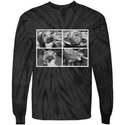 Moo Deng Hippo Photo Funny Pygmy Hippopotamus Tie-Dye Long Sleeve Shirt