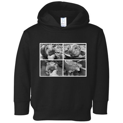 Moo Deng Hippo Photo Funny Pygmy Hippopotamus Toddler Hoodie