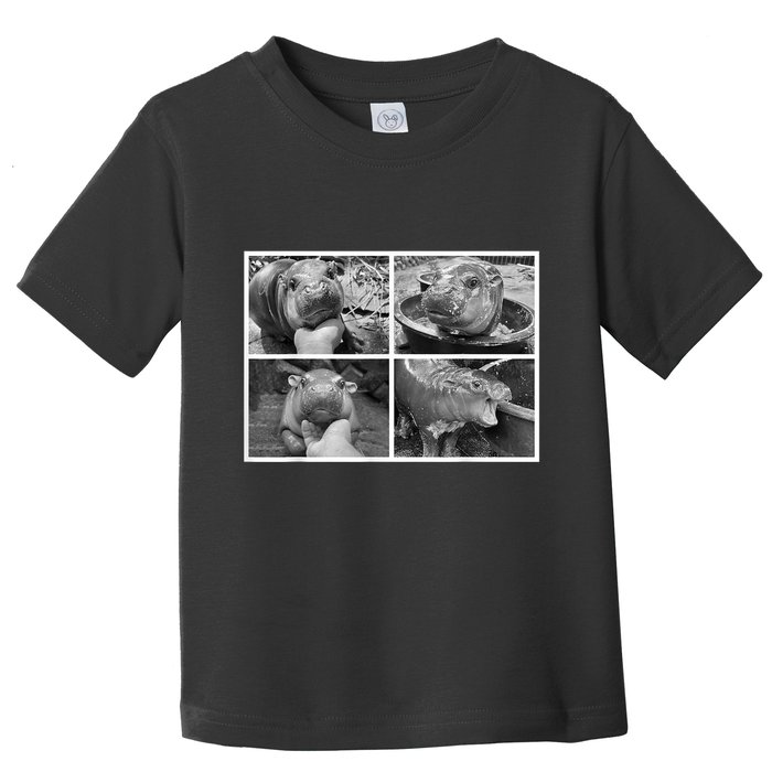 Moo Deng Hippo Photo Funny Pygmy Hippopotamus Toddler T-Shirt