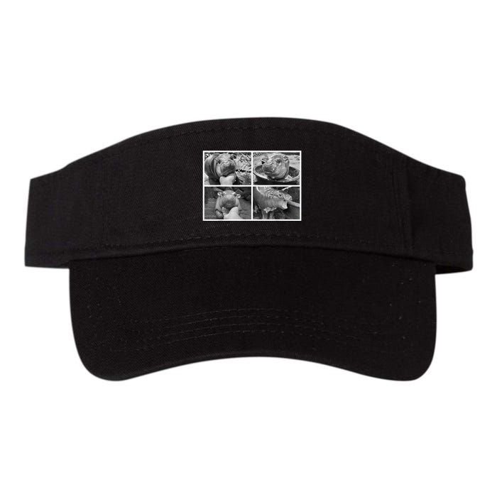 Moo Deng Hippo Photo Funny Pygmy Hippopotamus Visor