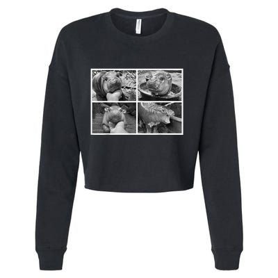 Moo Deng Hippo Photo Funny Pygmy Hippopotamus Cropped Pullover Crew