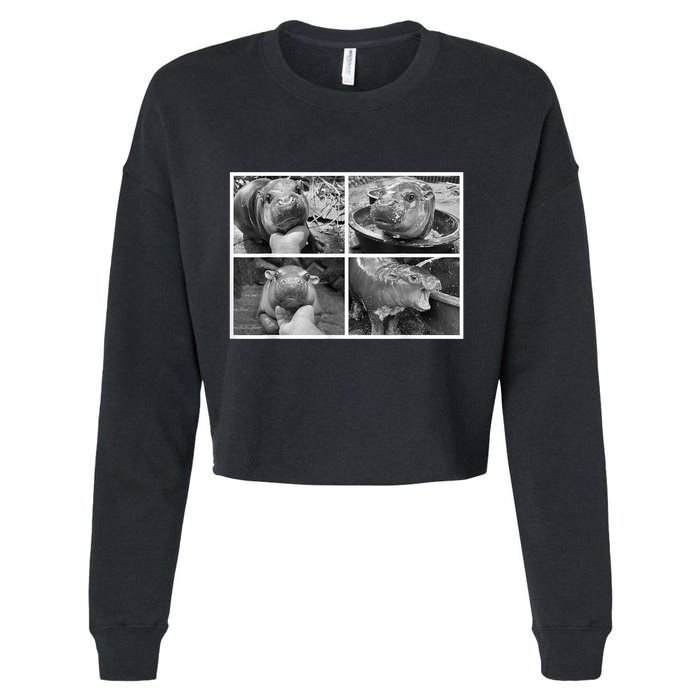 Moo Deng Hippo Photo Funny Pygmy Hippopotamus Cropped Pullover Crew