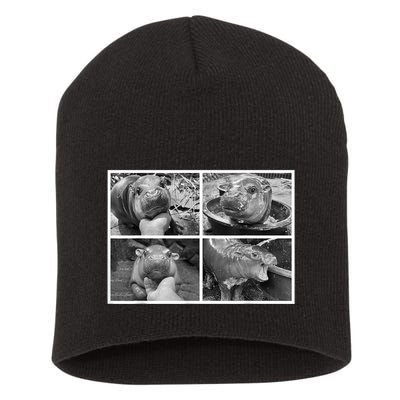 Moo Deng Hippo Photo Funny Pygmy Hippopotamus Short Acrylic Beanie