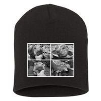 Moo Deng Hippo Photo Funny Pygmy Hippopotamus Short Acrylic Beanie