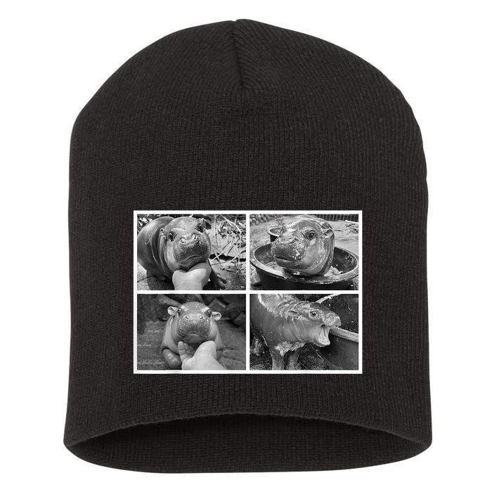 Moo Deng Hippo Photo Funny Pygmy Hippopotamus Short Acrylic Beanie