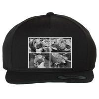 Moo Deng Hippo Photo Funny Pygmy Hippopotamus Wool Snapback Cap