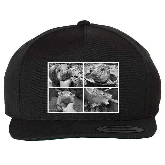 Moo Deng Hippo Photo Funny Pygmy Hippopotamus Wool Snapback Cap