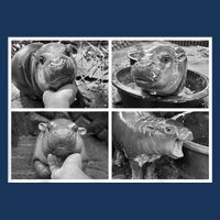 Moo Deng Hippo Photo Funny Pygmy Hippopotamus Infant Baby Jersey Bodysuit
