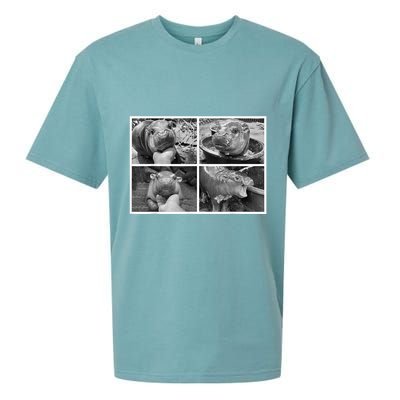 Moo Deng Hippo Photo Funny Pygmy Hippopotamus Sueded Cloud Jersey T-Shirt