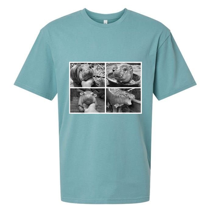 Moo Deng Hippo Photo Funny Pygmy Hippopotamus Sueded Cloud Jersey T-Shirt
