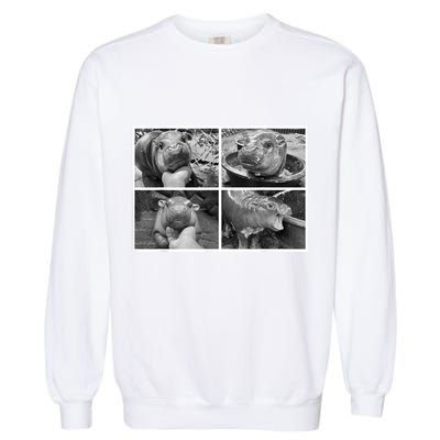 Moo Deng Hippo Photo Funny Pygmy Hippopotamus Garment-Dyed Sweatshirt
