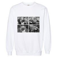 Moo Deng Hippo Photo Funny Pygmy Hippopotamus Garment-Dyed Sweatshirt